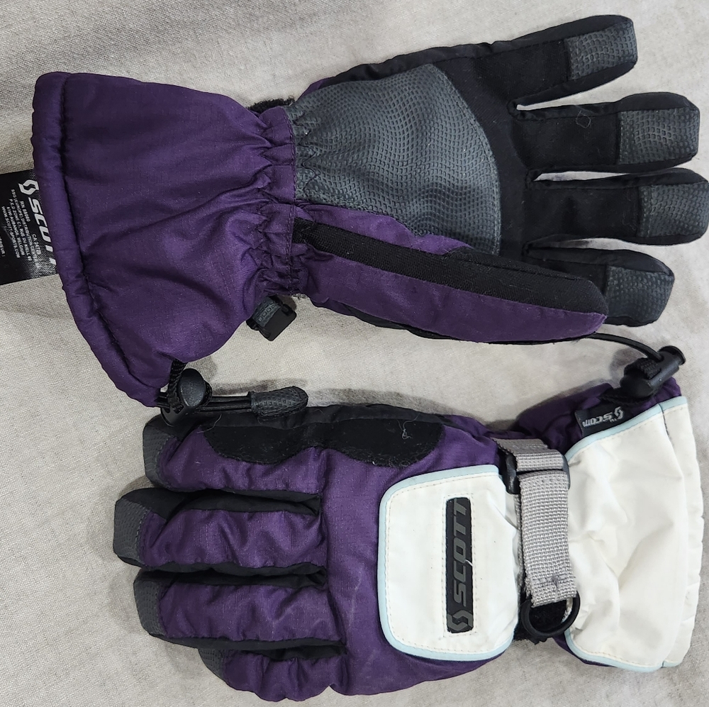 Ski Gloves